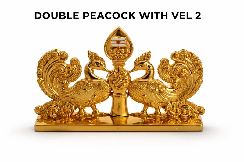 DOUBLE PEACOCK WITH VEL 2
